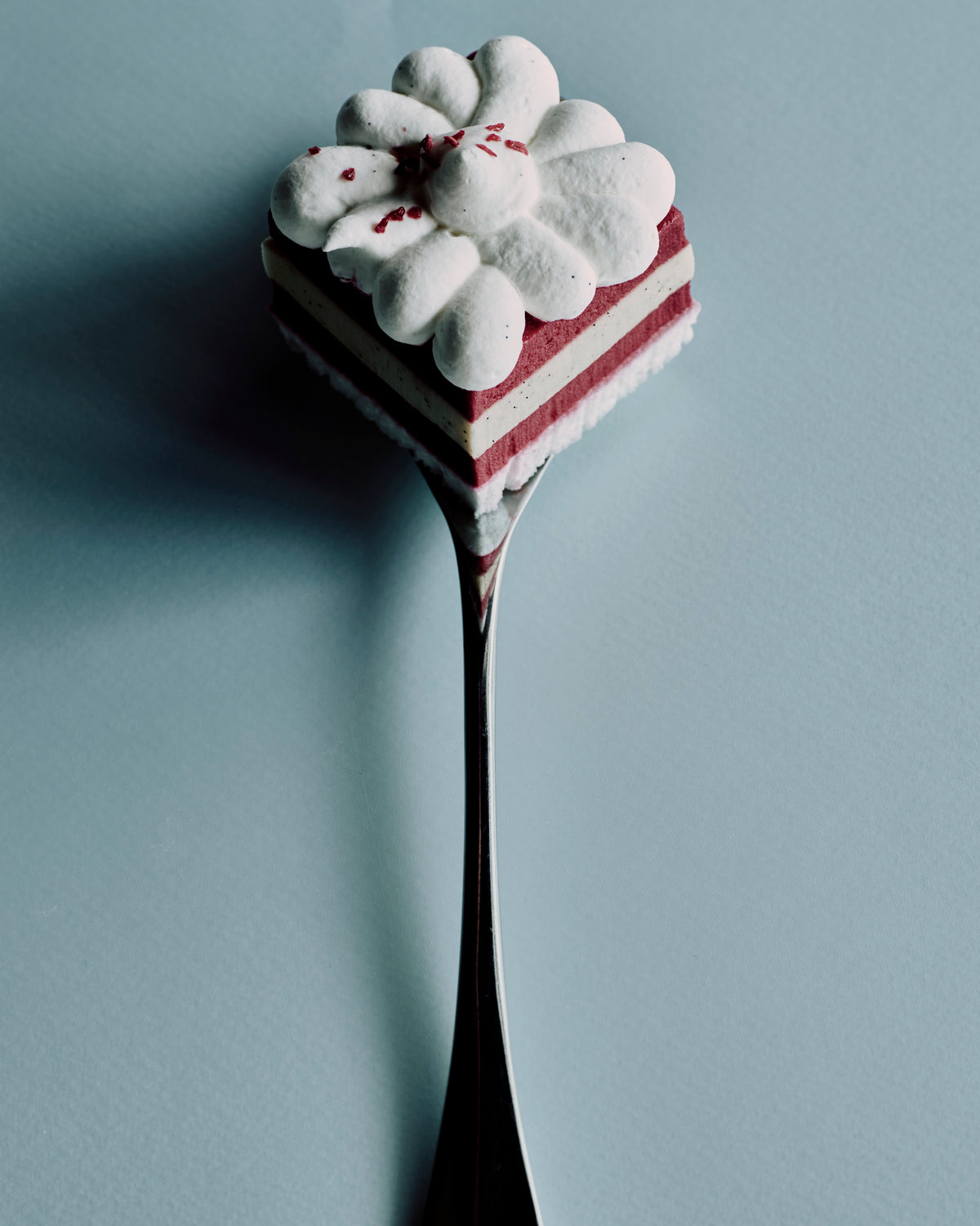 Vacherin vanille framboise individuel