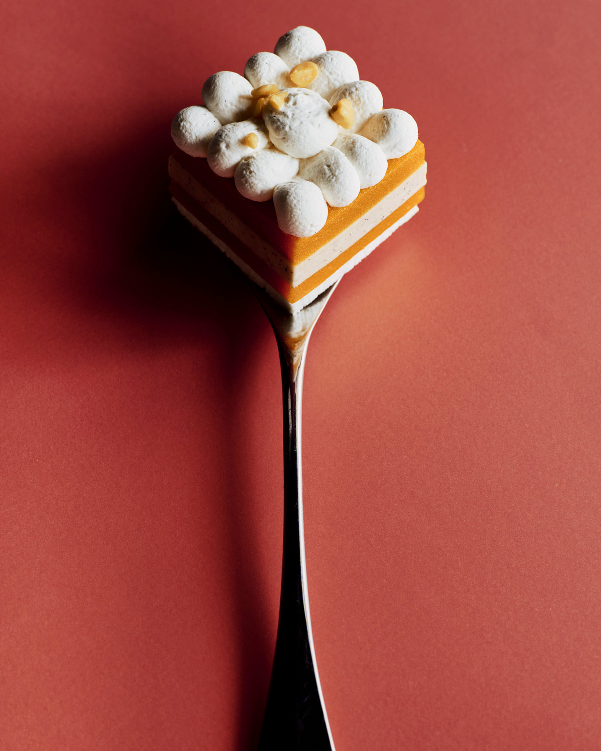 Vacherin Mangue Passion individuel
